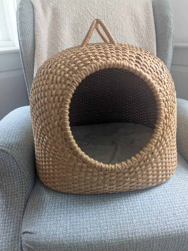 The best at hiding!