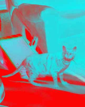 The Invisible Kitties