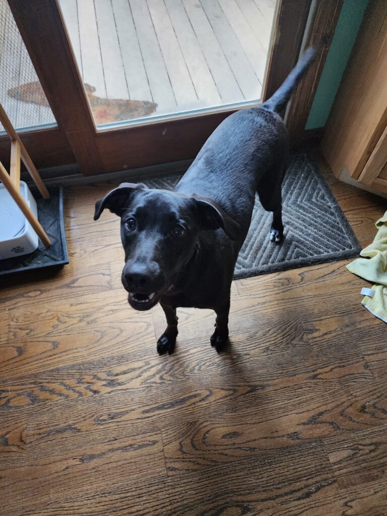 Lovely Luna