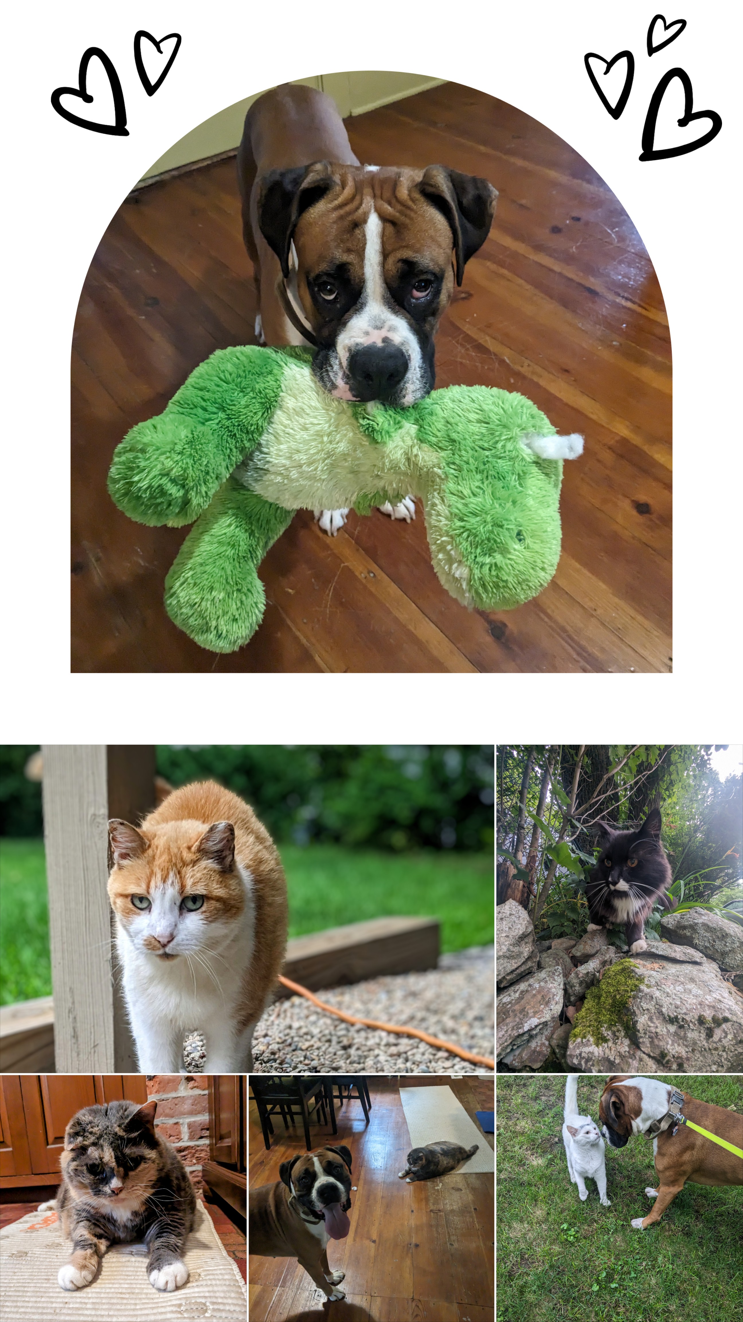 Caturday Mornings aren’t just for the kitties!