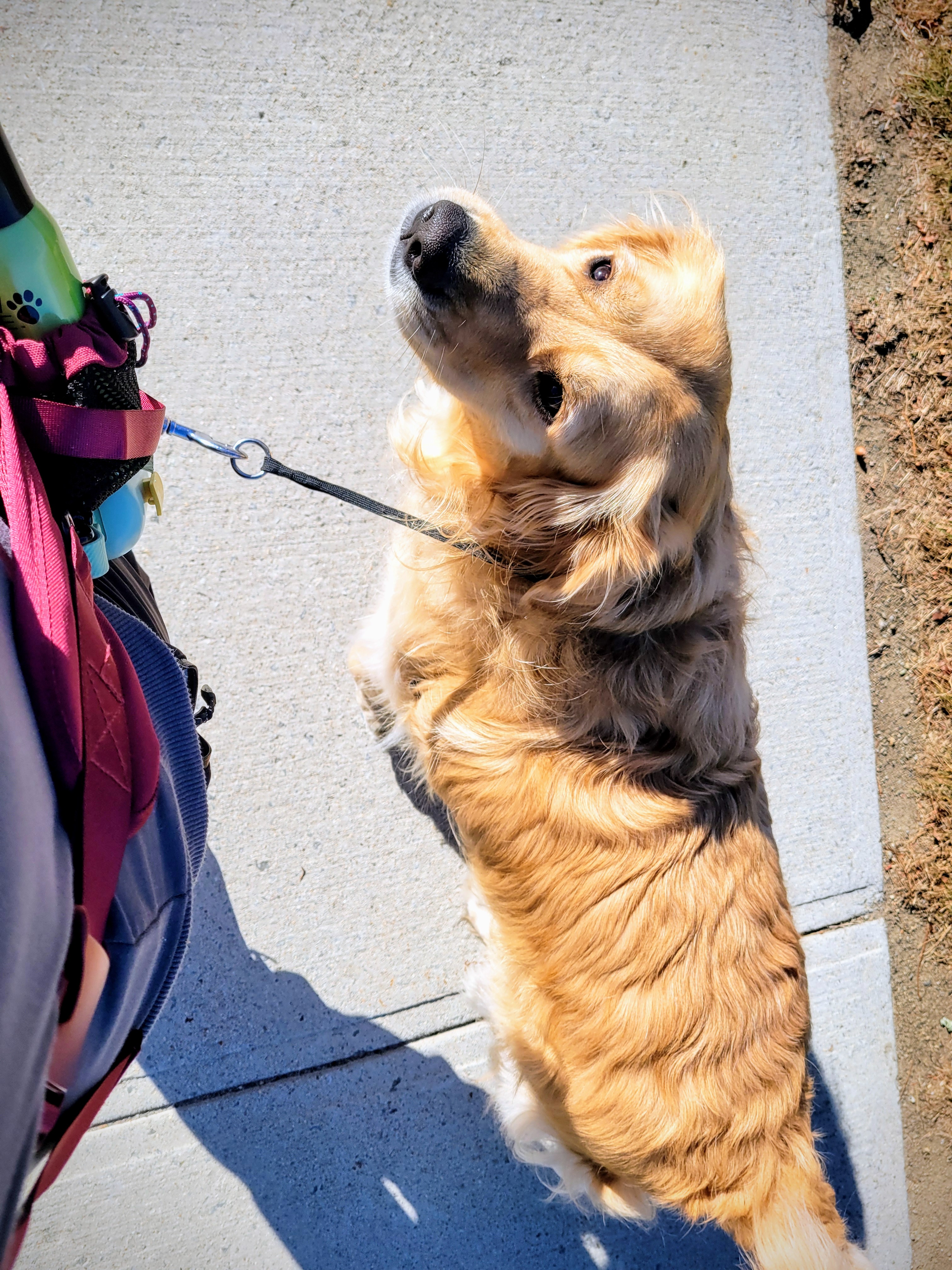 My Buddy…My Buddy…🎶