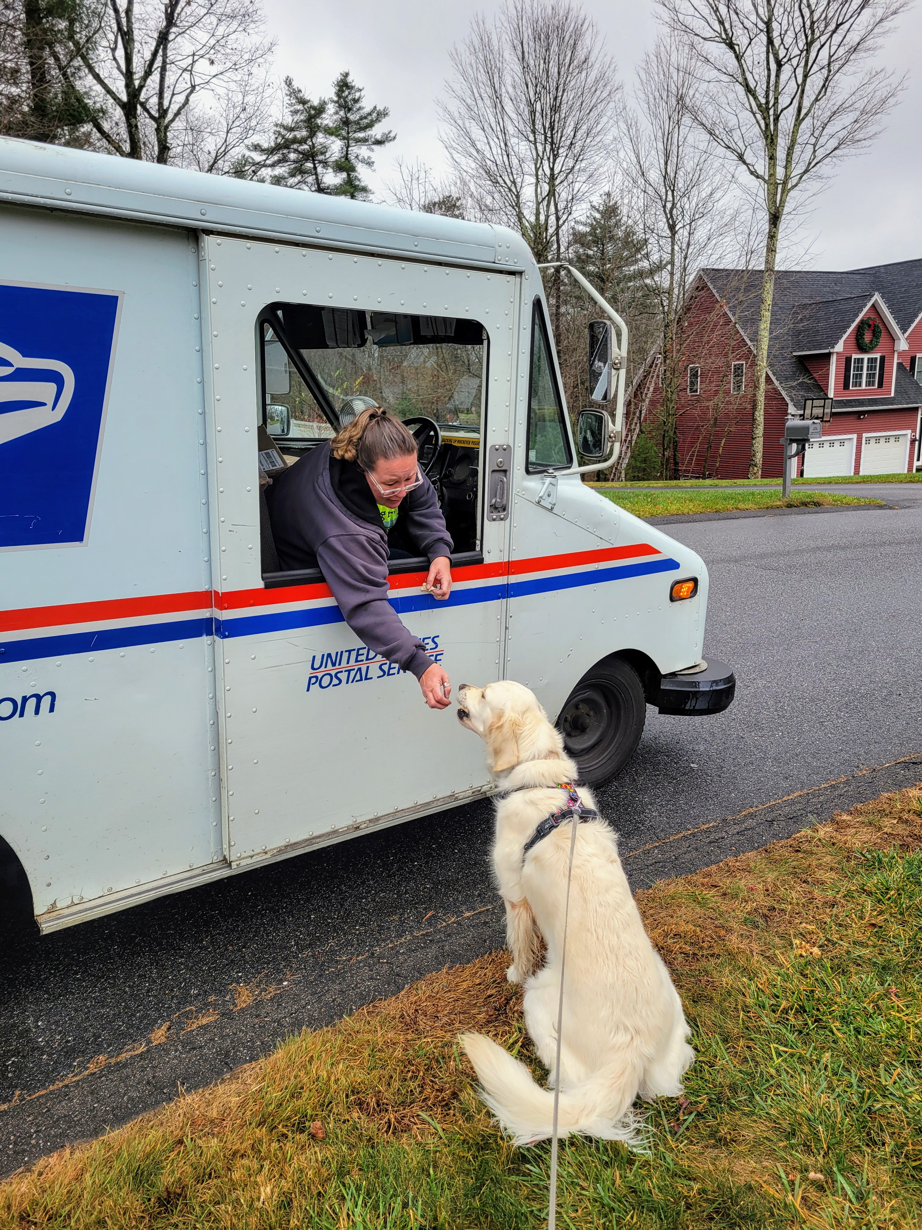 Hey, Mail Lady?! Wait up!!! ✋️ 📬