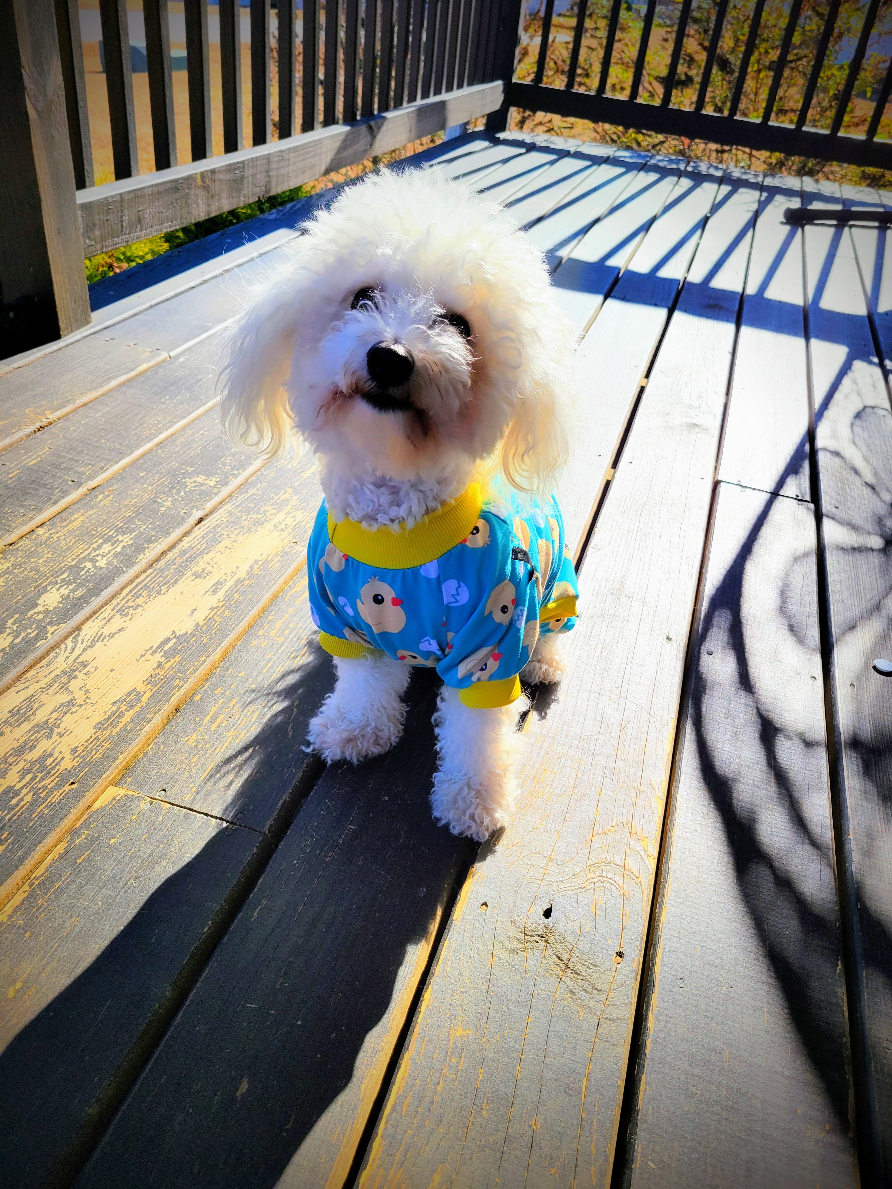 Mayor Mylito Monitors the Neighborhood