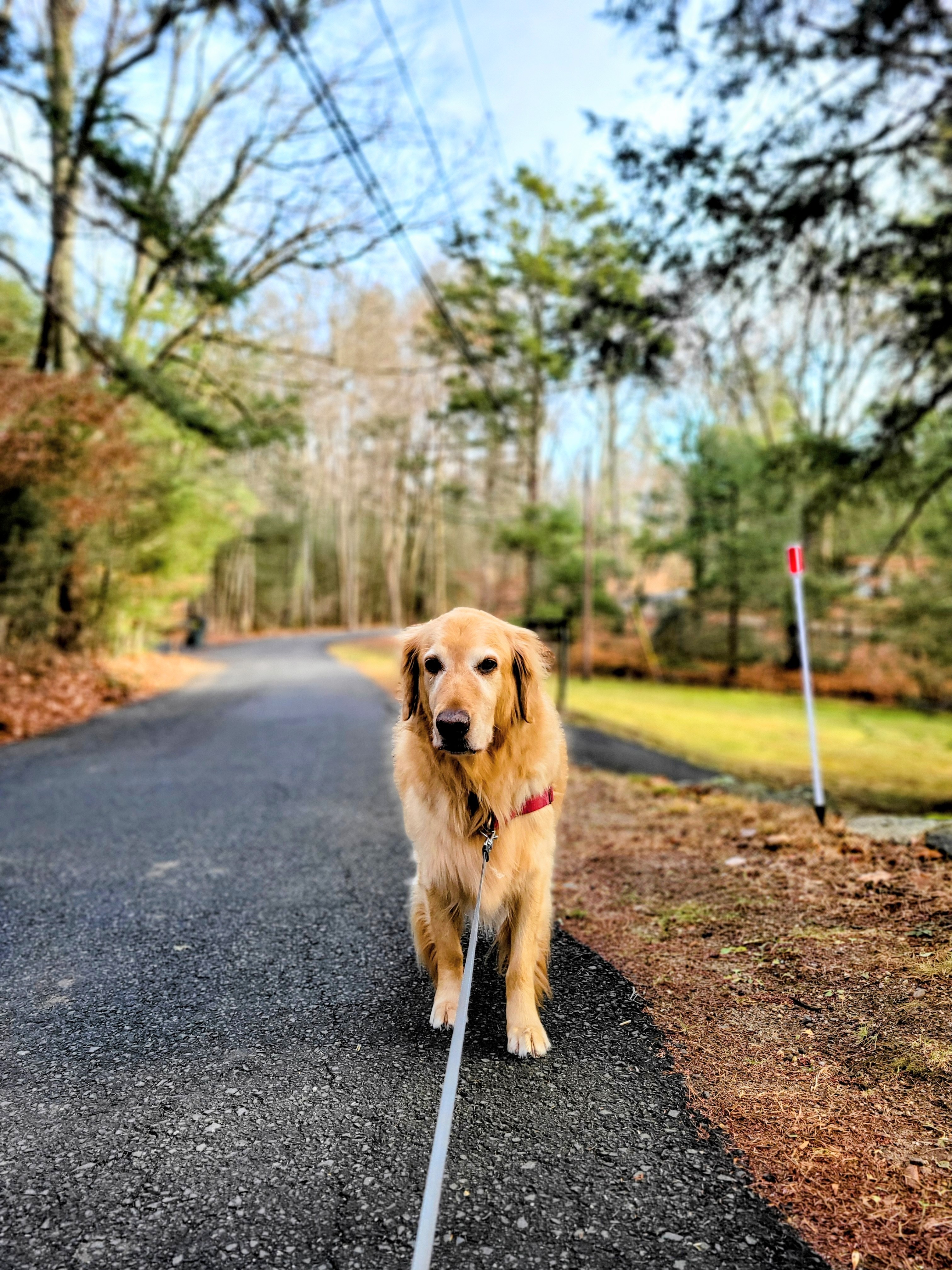 Julian The Handsome✨️ 📷 ✨️