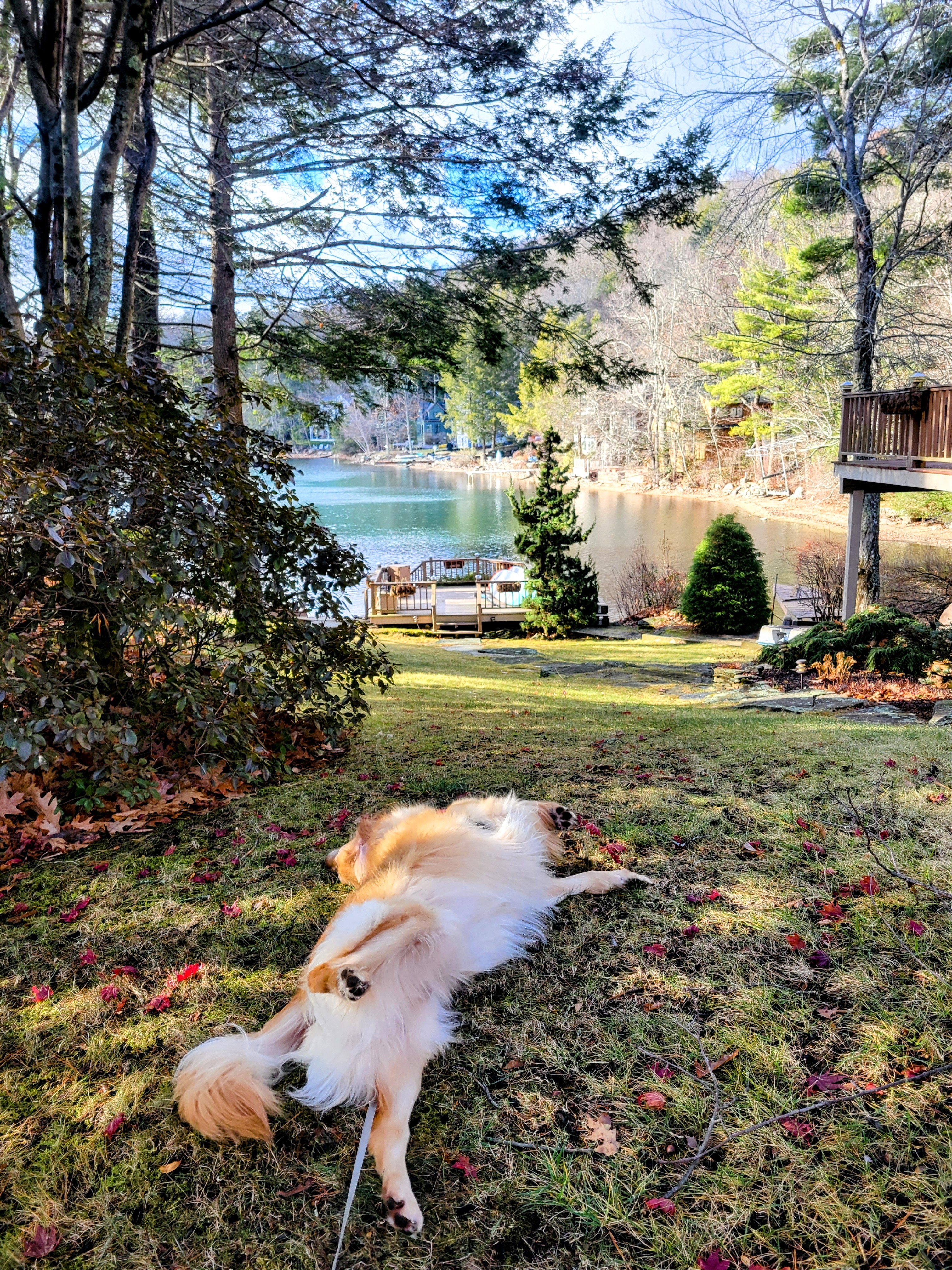 Julian’s Perfect Day! 🌞 🥶