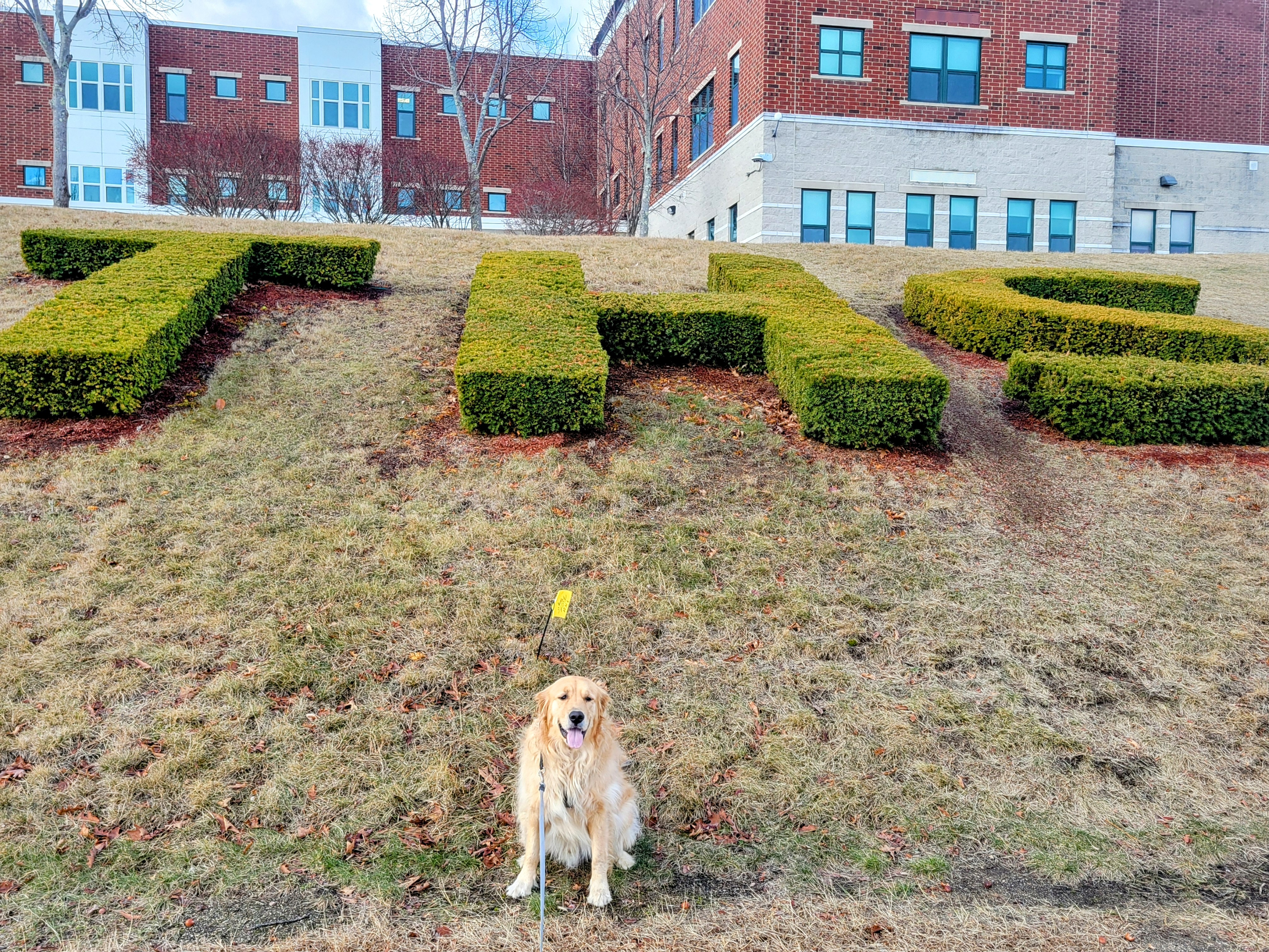New Kid On The Block 🏫