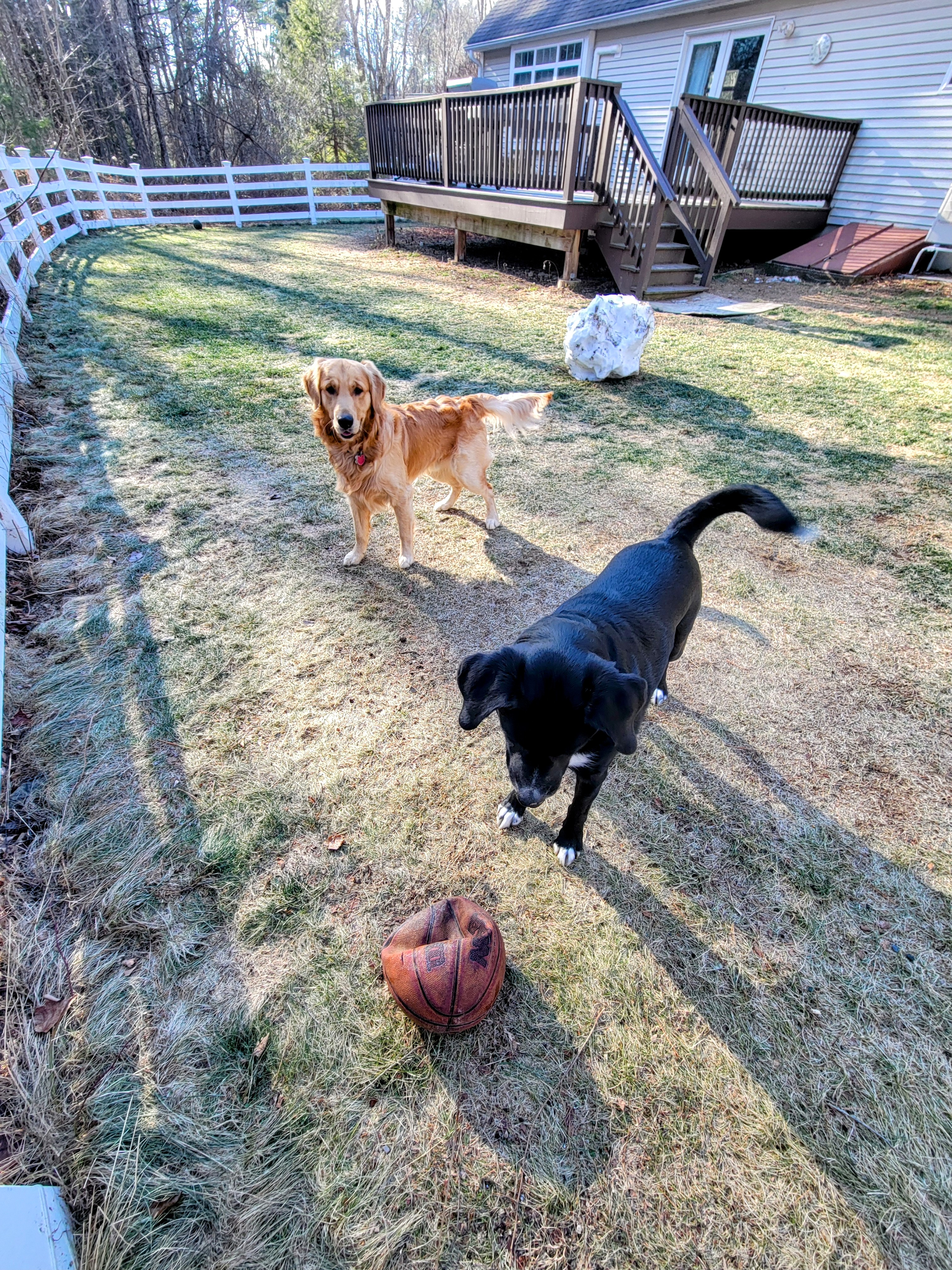 Play Ball!! 🏀