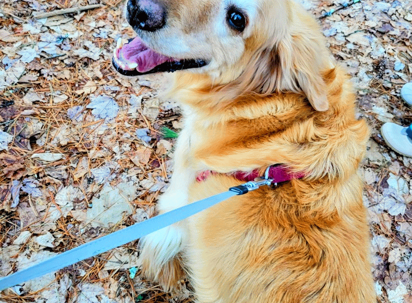 Julian Joins The Family For A Hike ⛰️