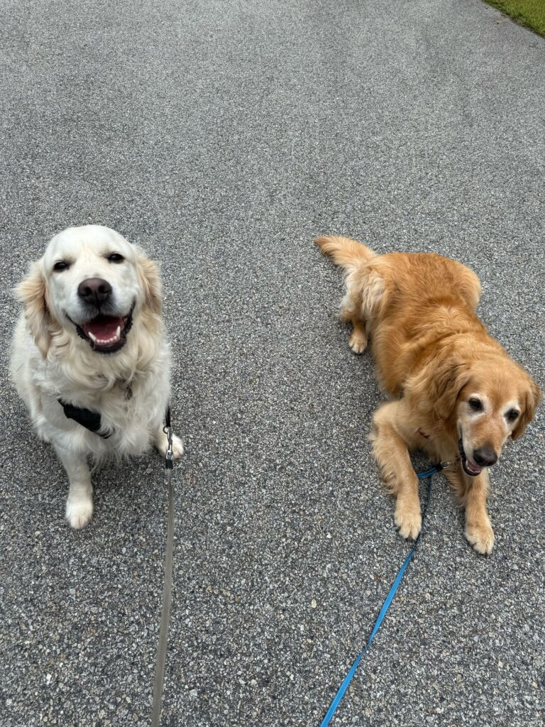 Reunion