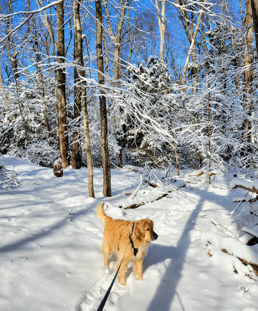 Snow Place We’d Rather Be ❄️