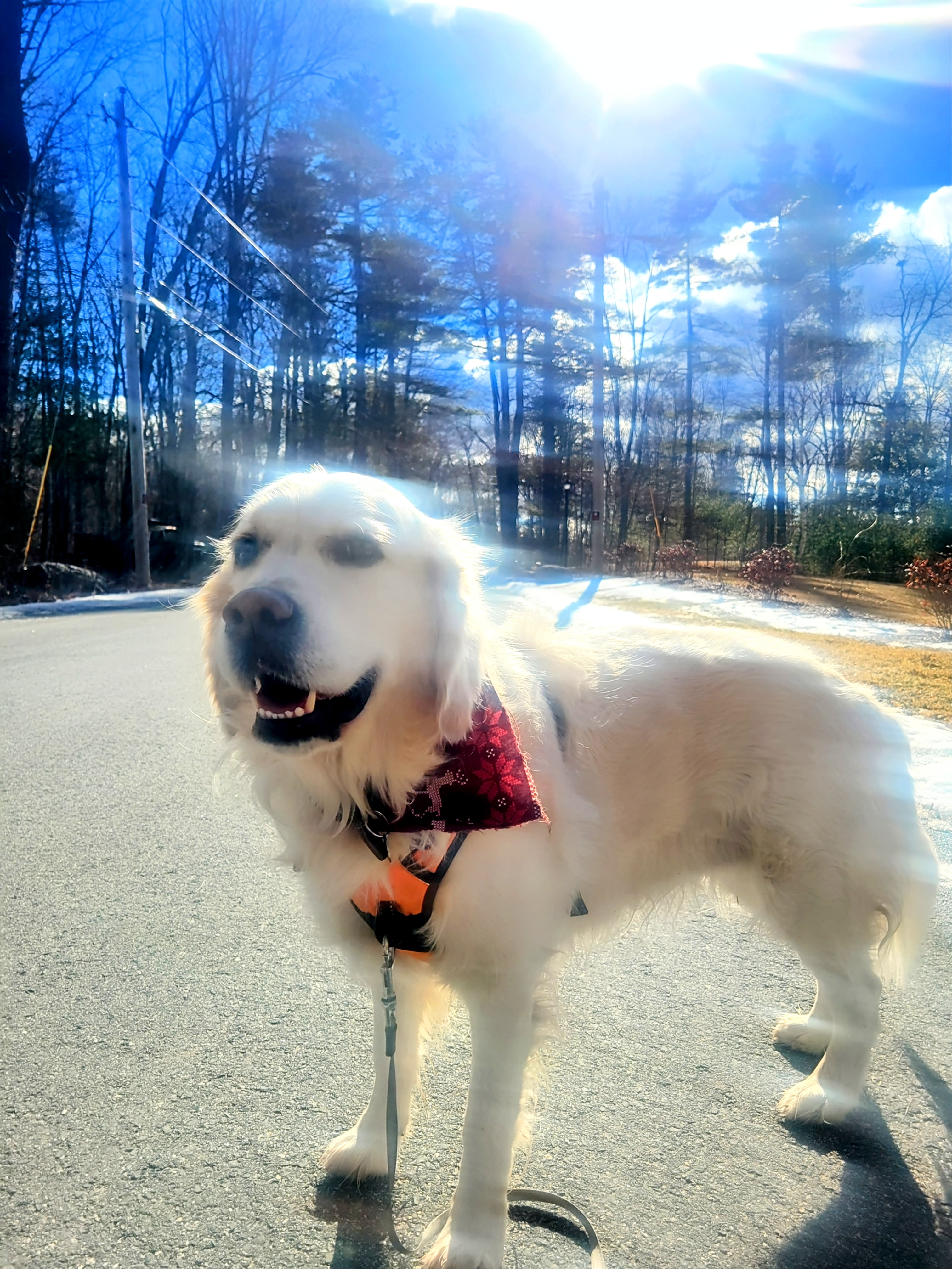 Hurray For Sunshine! 🌞