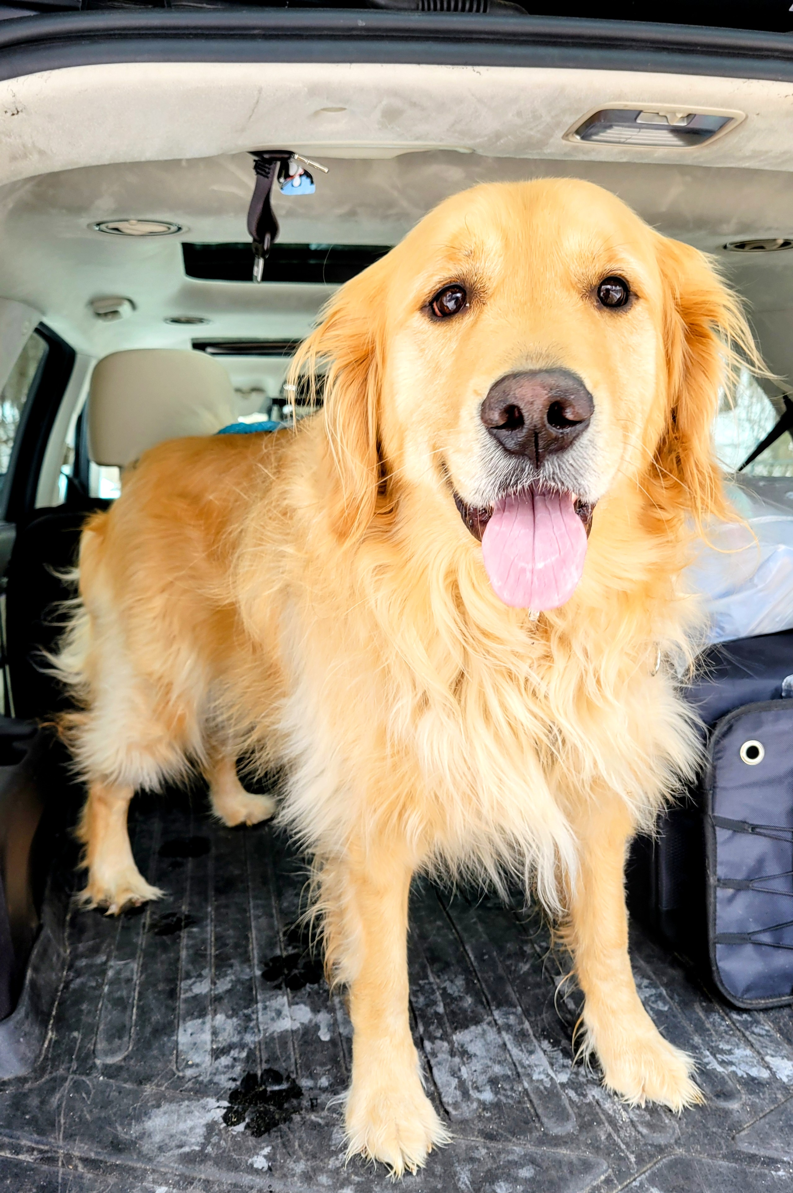 After A Weekend “Paws,” It’s Back To The Trails! 🌞