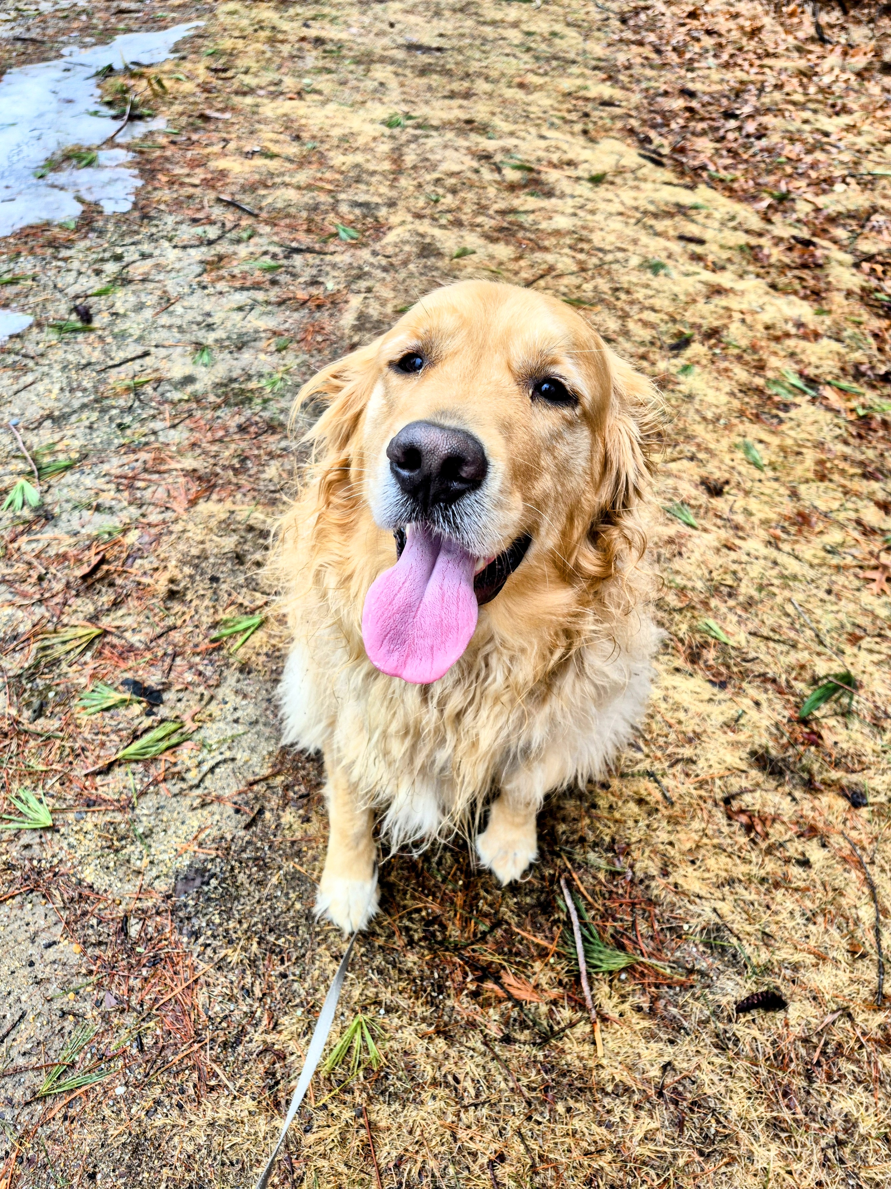 Beau Is Such A Fan Favorite 😍