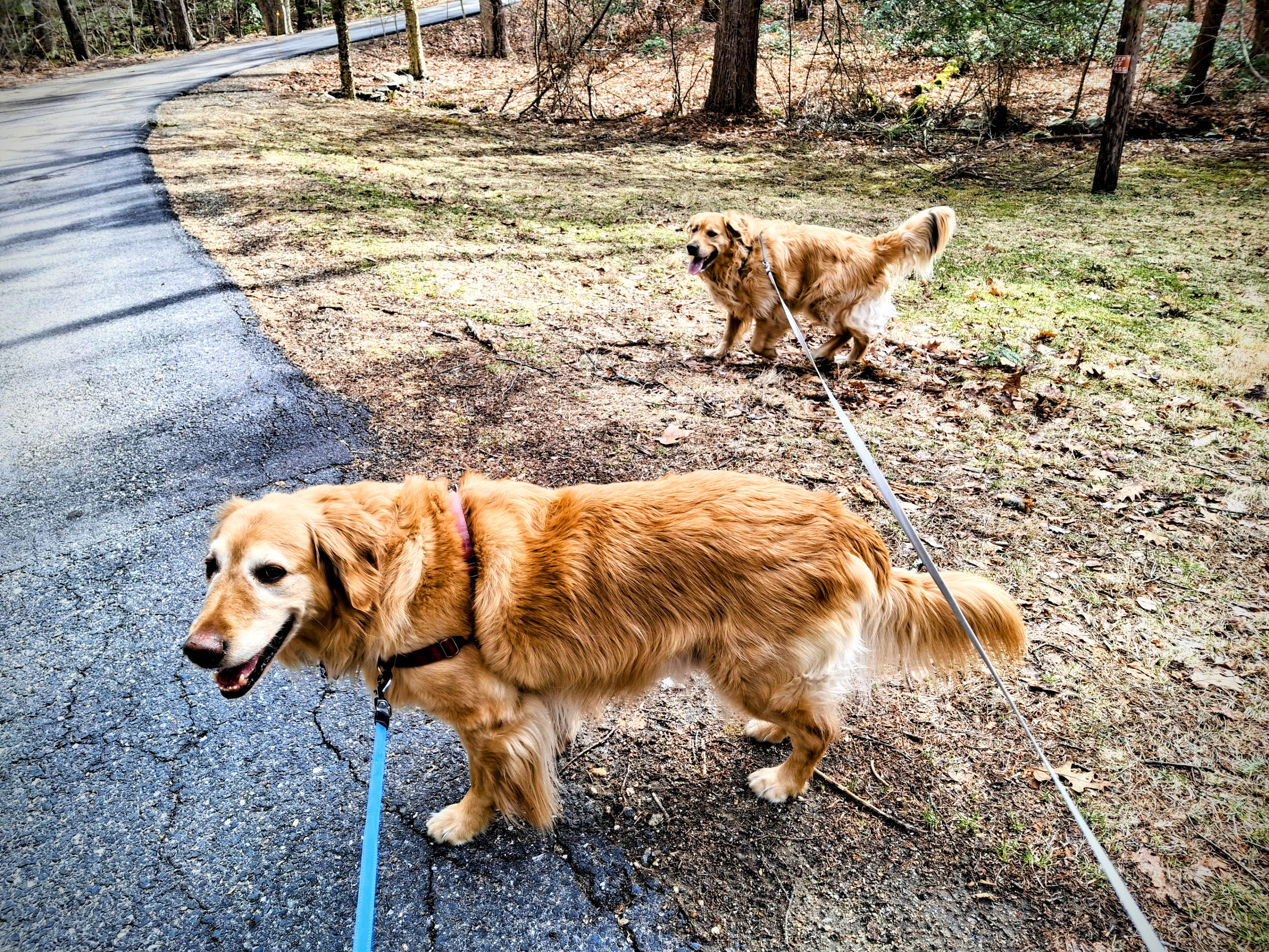 I Spy Something Sunny And….