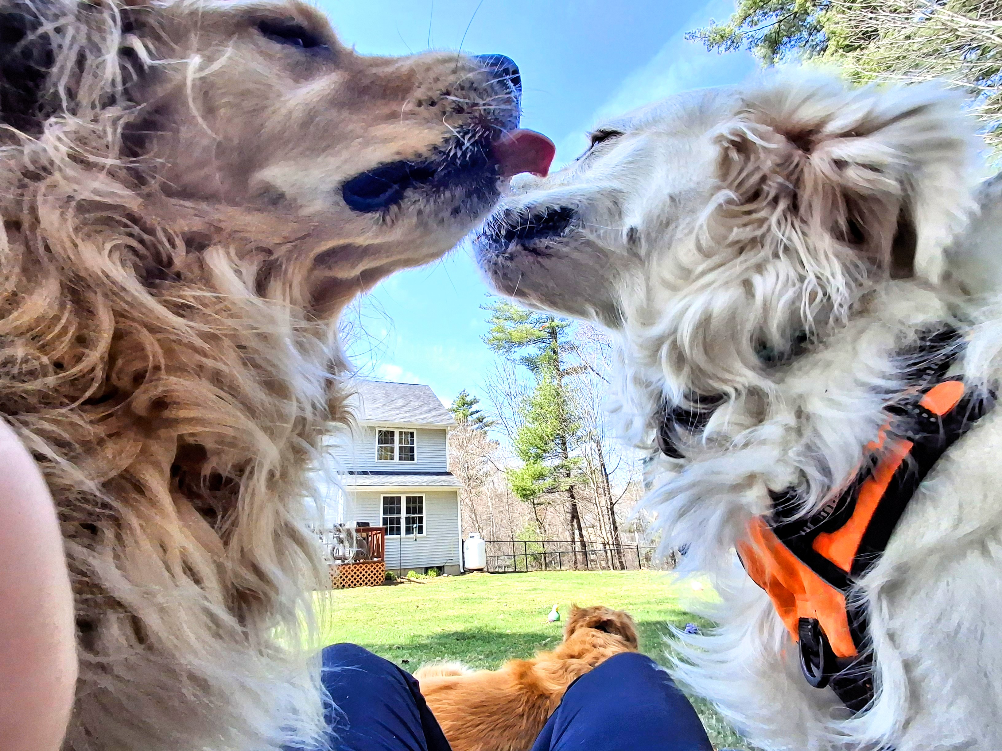 Fun In The Sun! 🌞