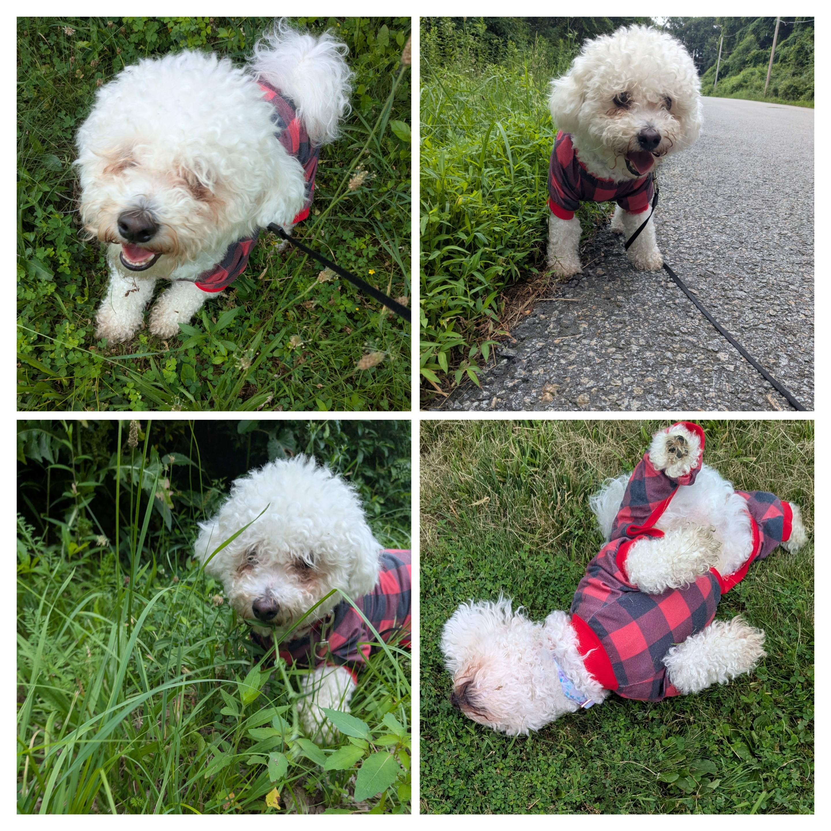 The Cuteness Is Strong With This One!