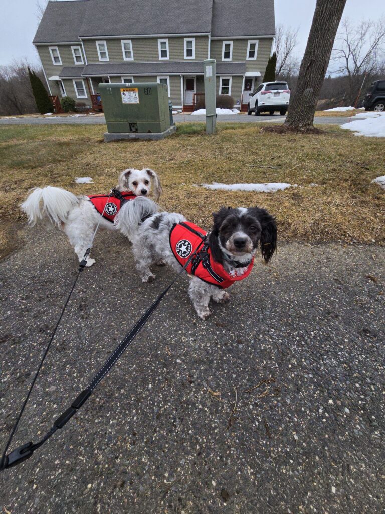❣️ ‘The Red Coats Are Coming!!’ 🤗🐾