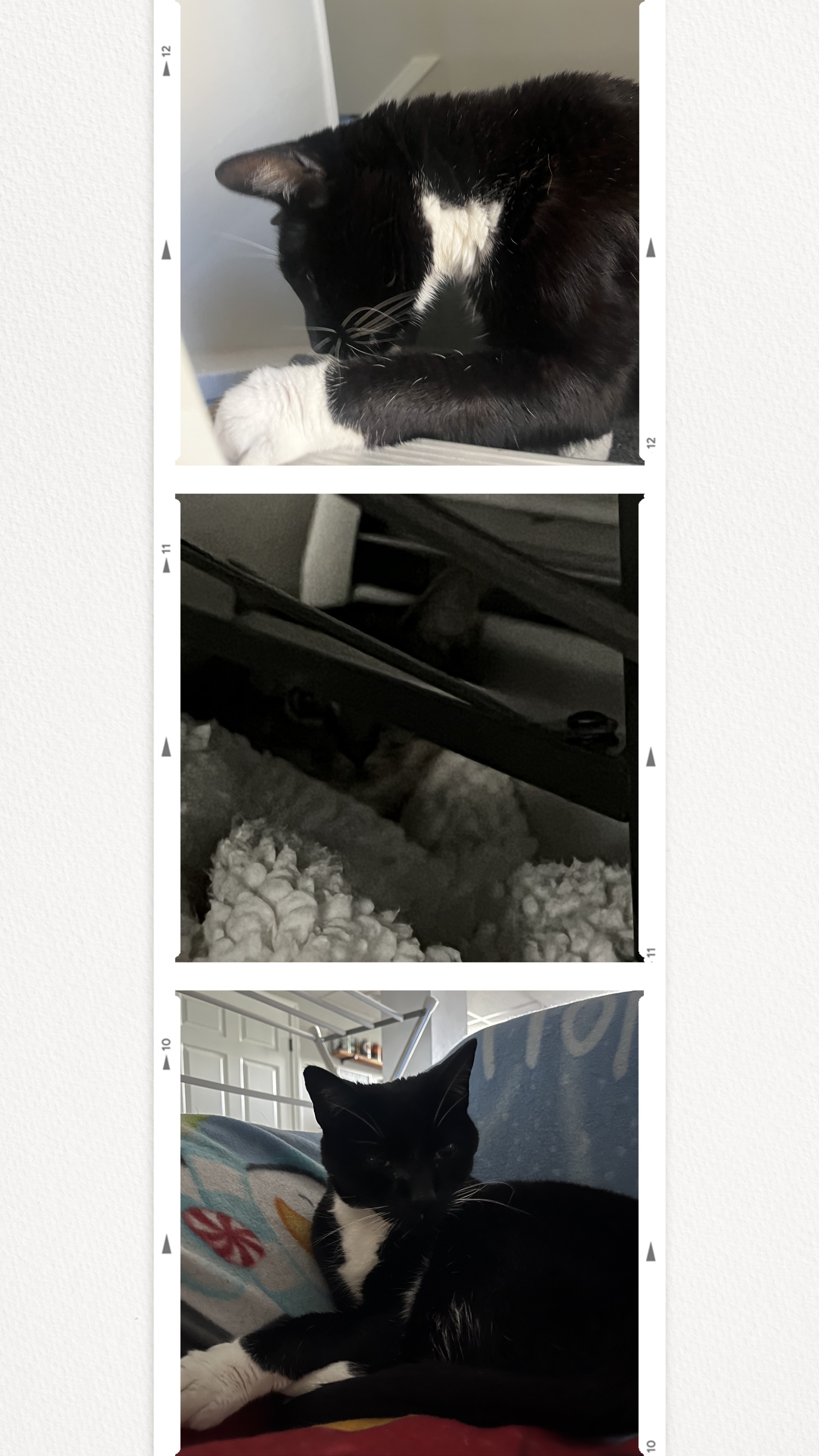 Charlotte Wins At Hide And Seek
