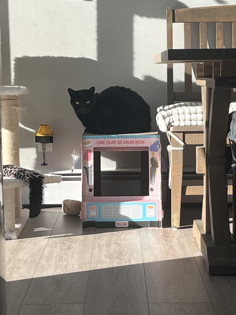 Soaking in the sun