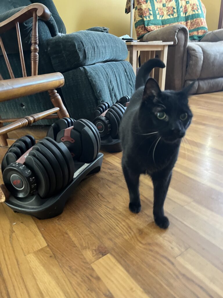 Pumping iron