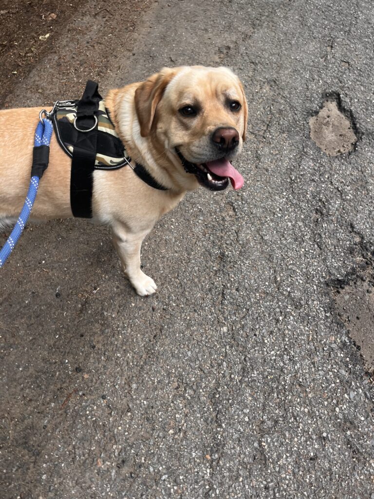 Time with Tucker !