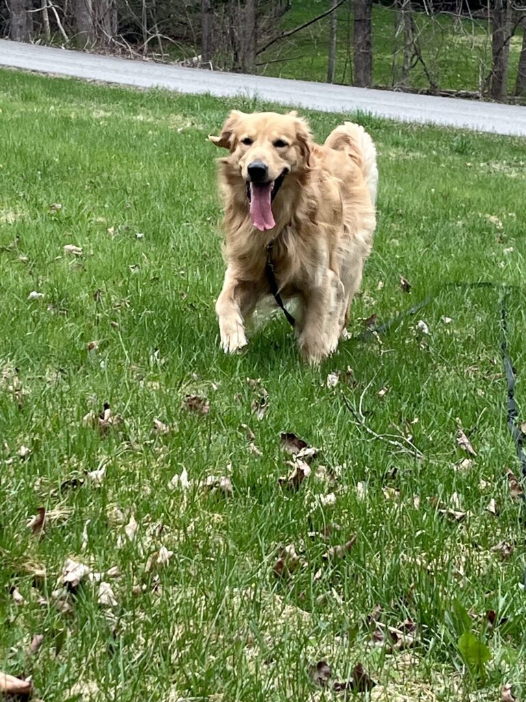 Happy guy 🥰