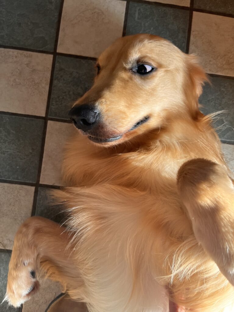 What a Rockstar!