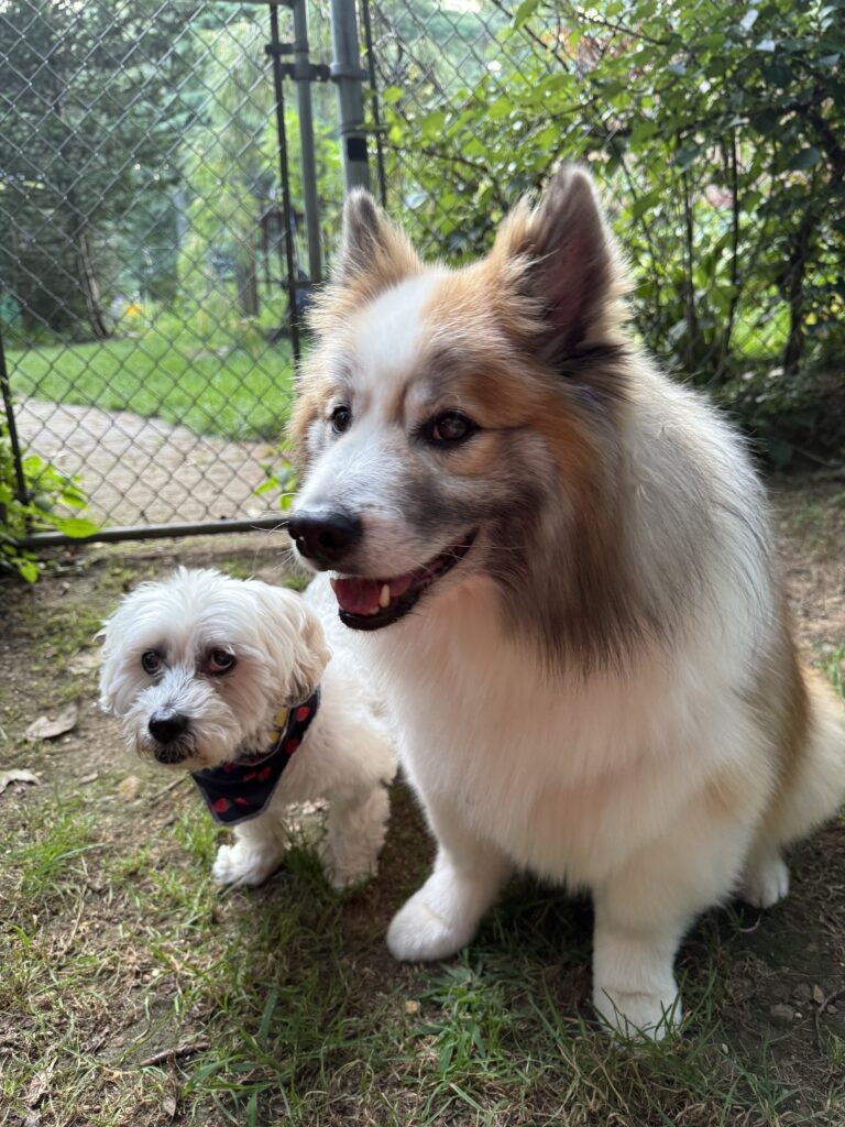 Sibling Love