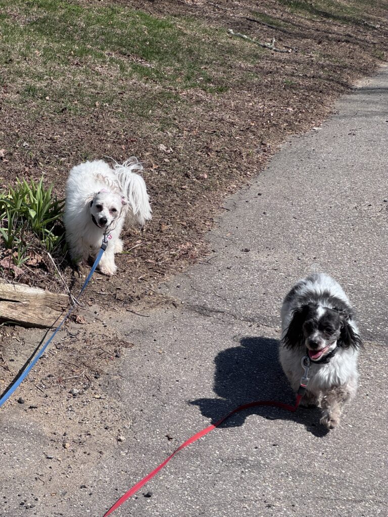 Floofy Fun!