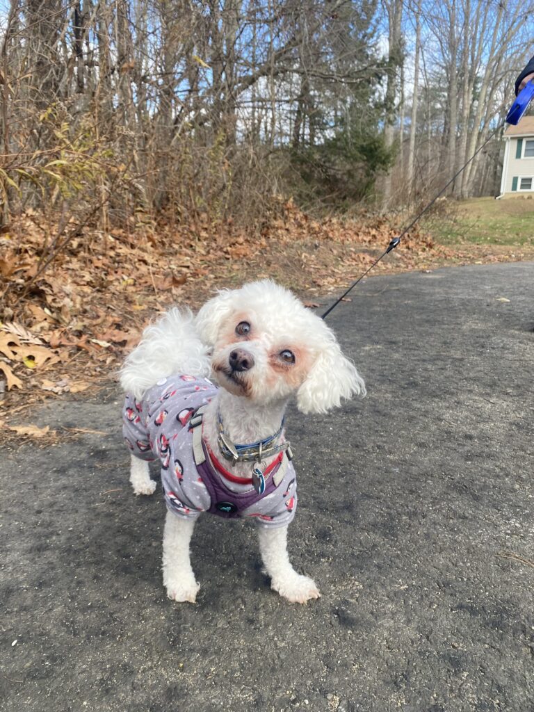 Cuteness Level Off The Charts