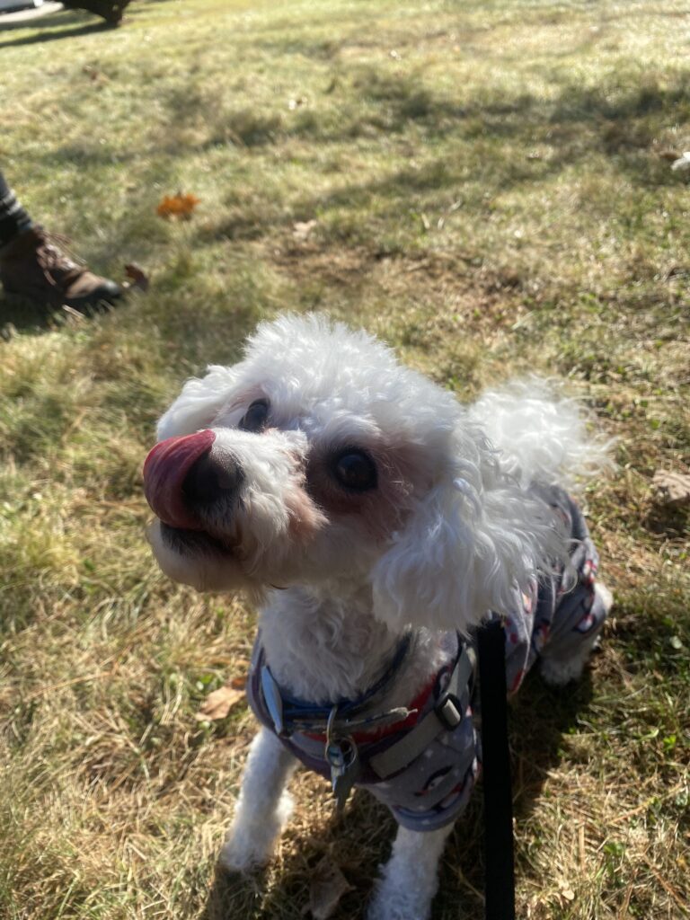 Savored Every Treat