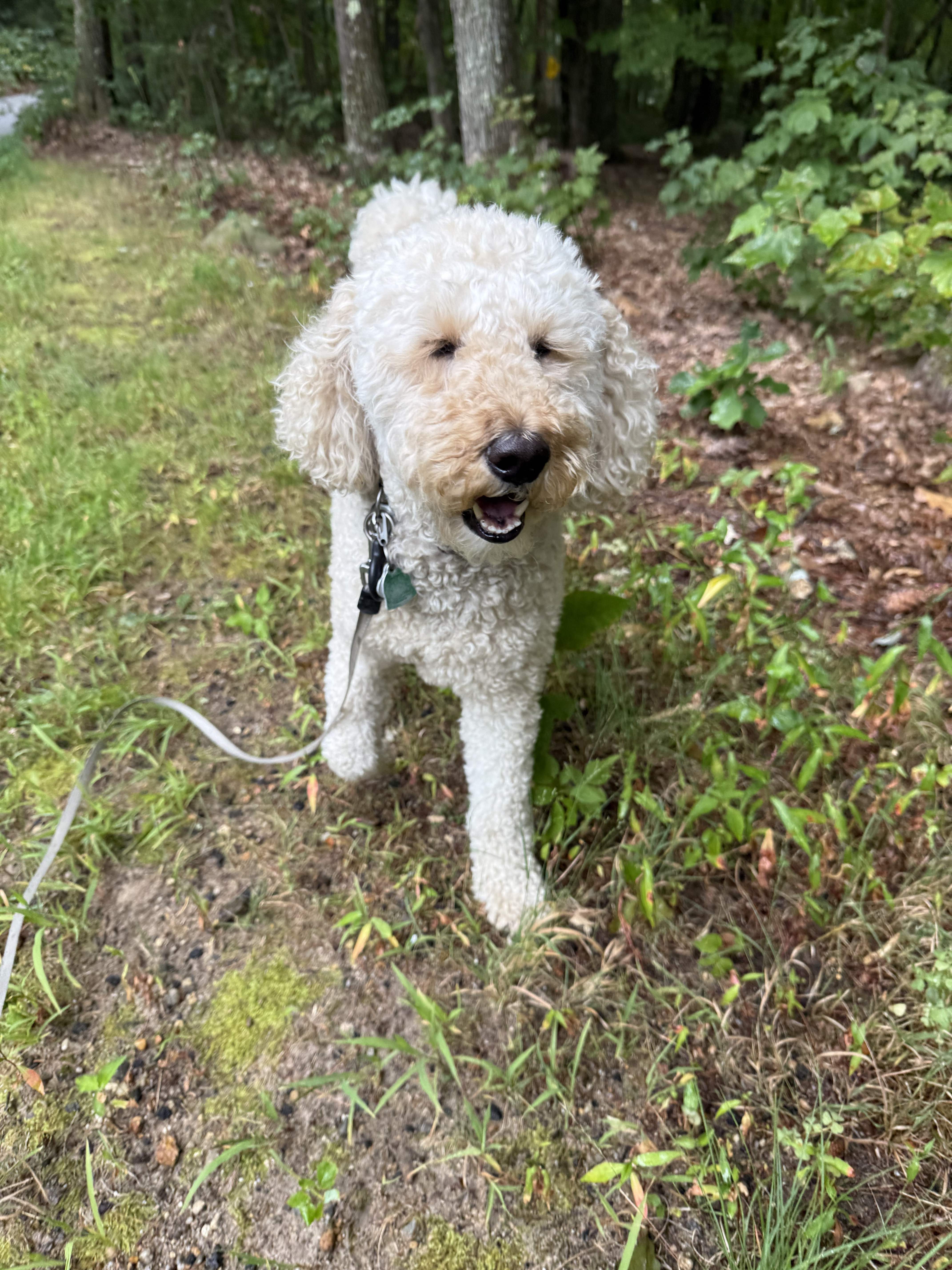 Tucker Warming Up The Morning