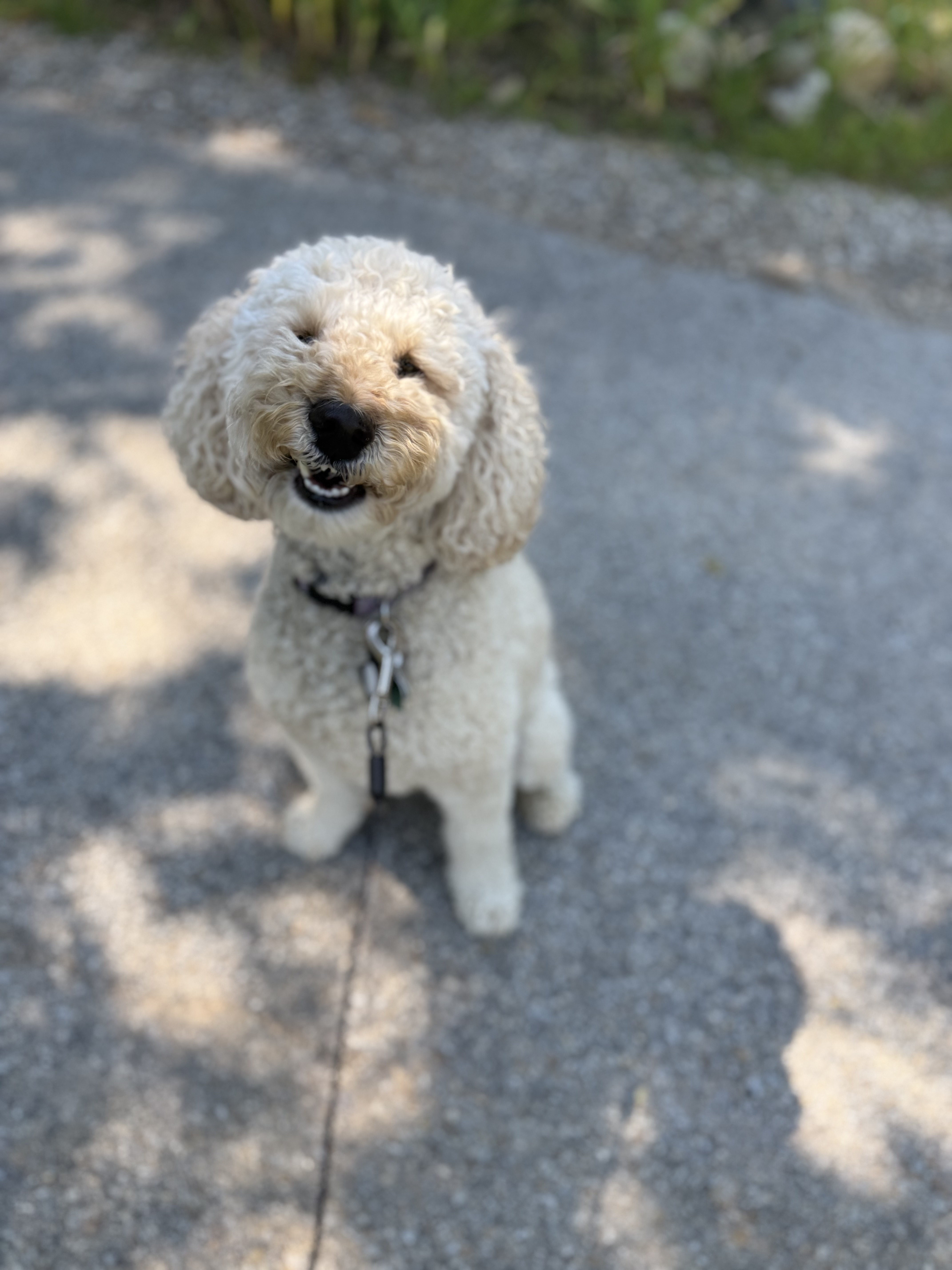 Smile