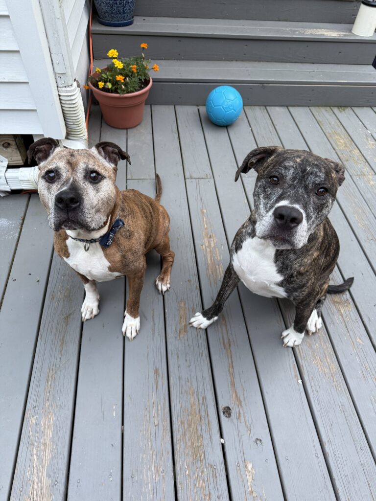 Porch Hangout