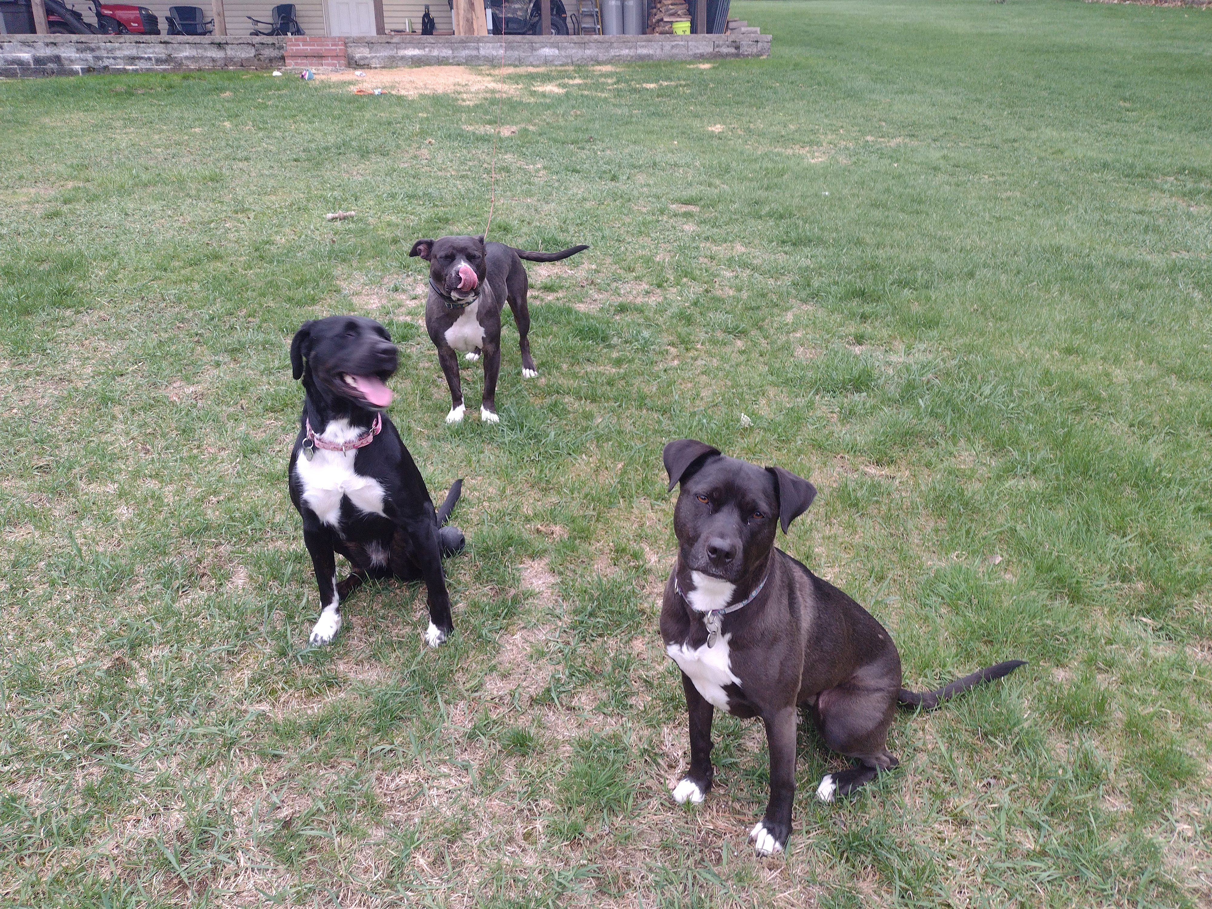 The Three Amigos!