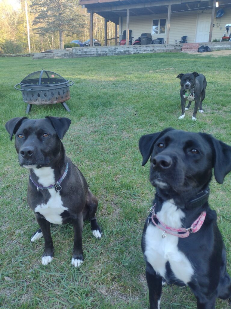 Ready For The Ball Toss