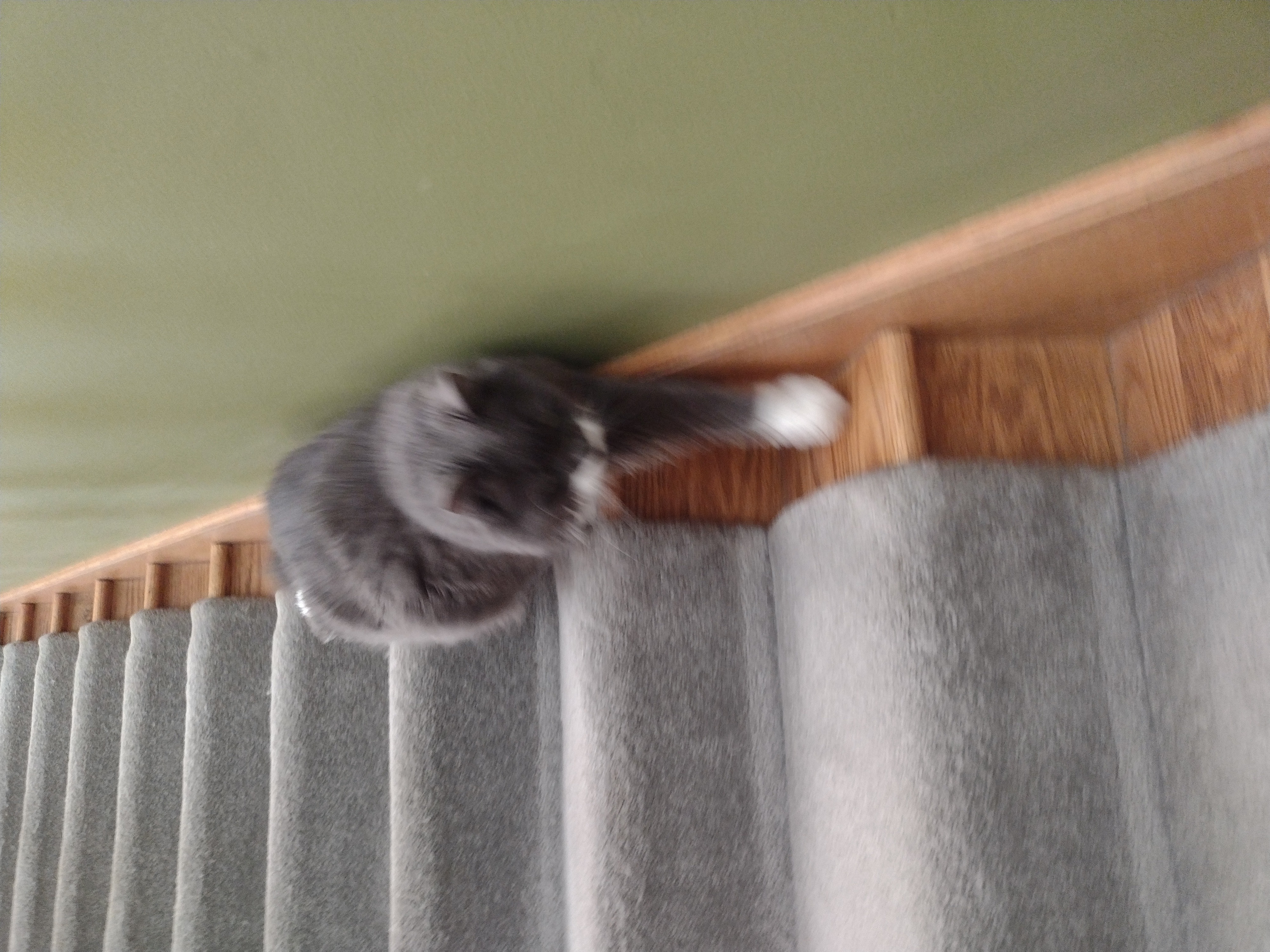 Can I Sneak Down The Stairs?