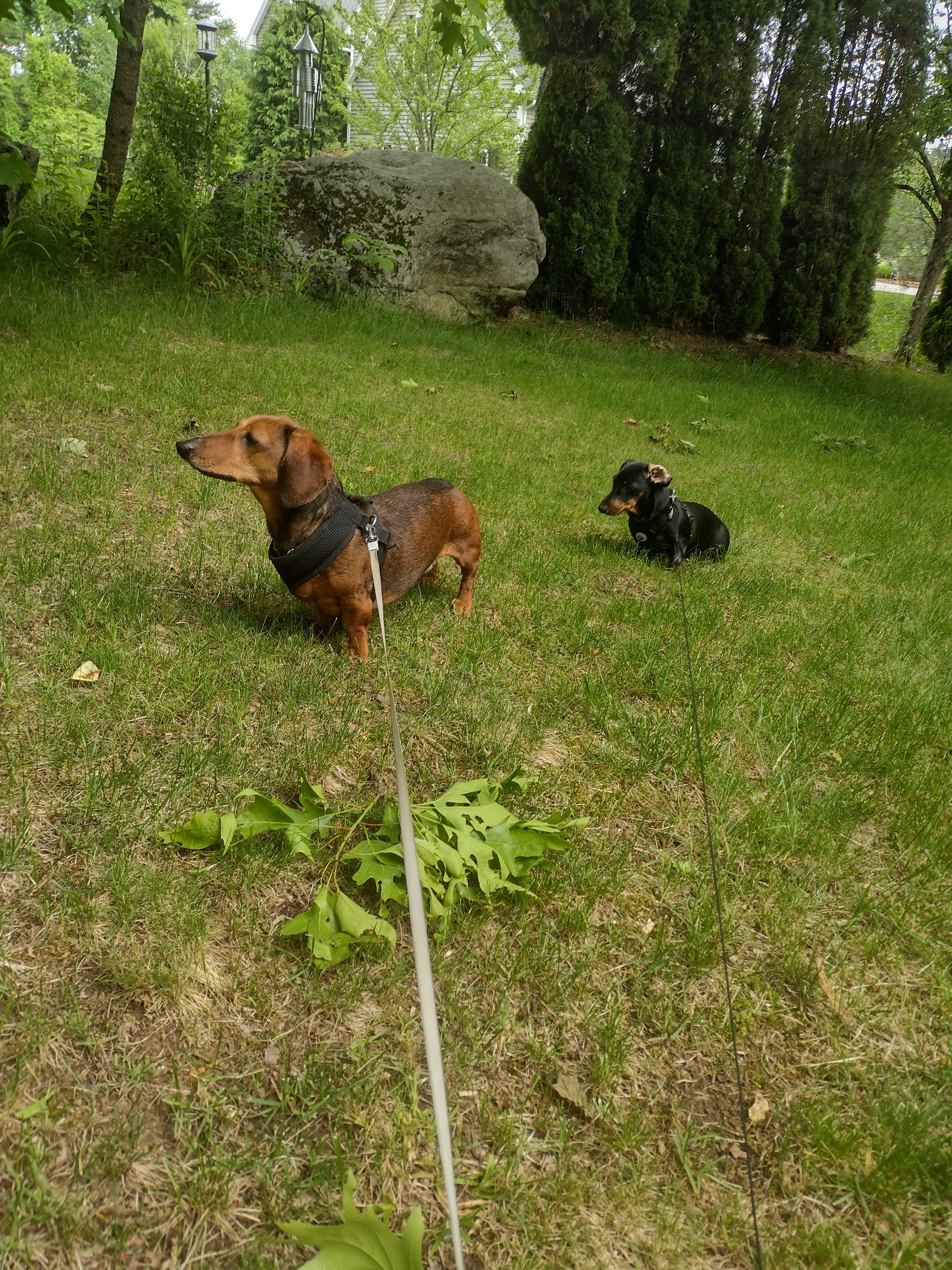 Walking Between The Raindrops!