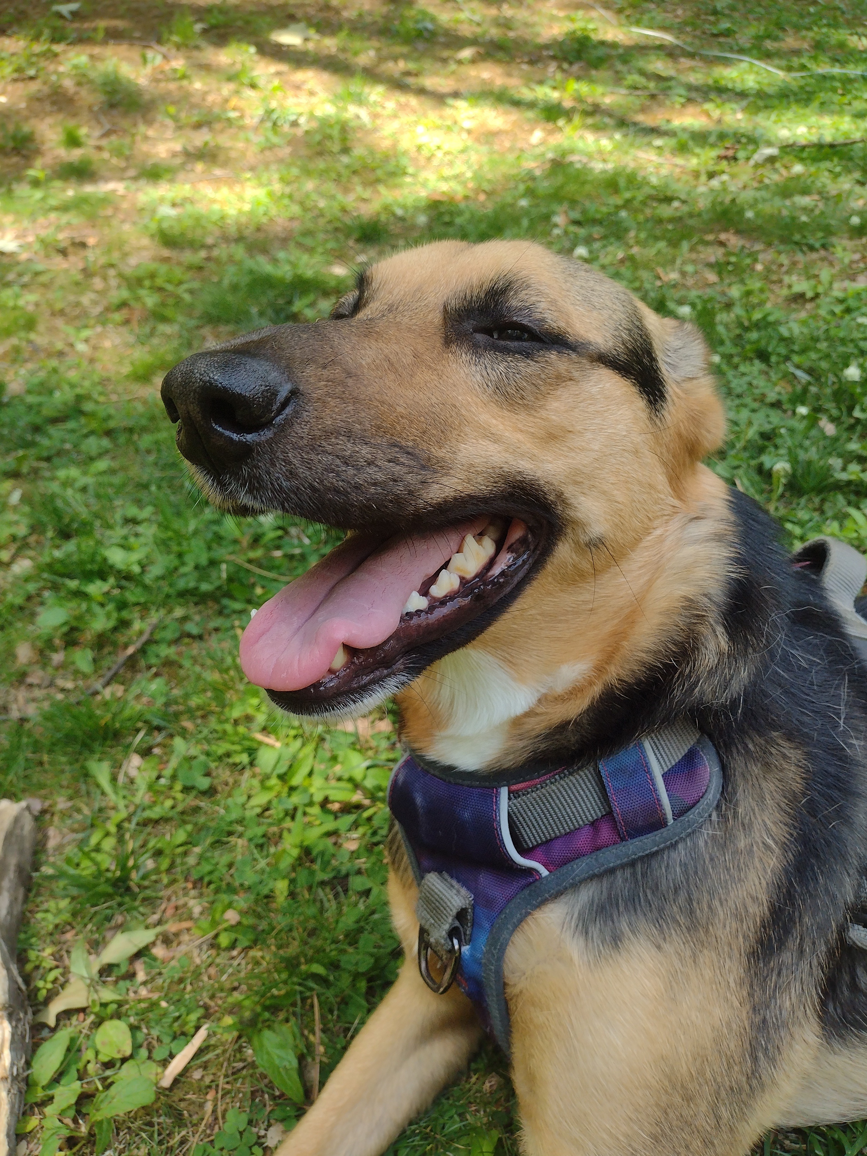 A Beautiful Day With A Beautiful Girl!