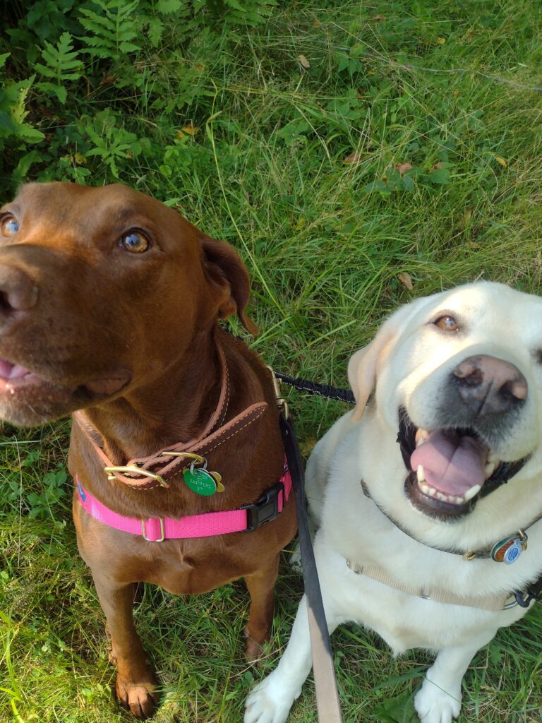 Taking A Break At The Top Of The Hill!