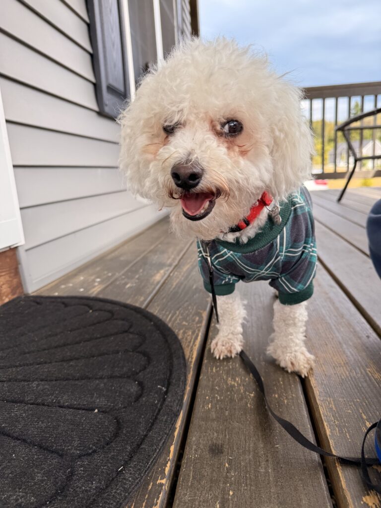 Porch Pics