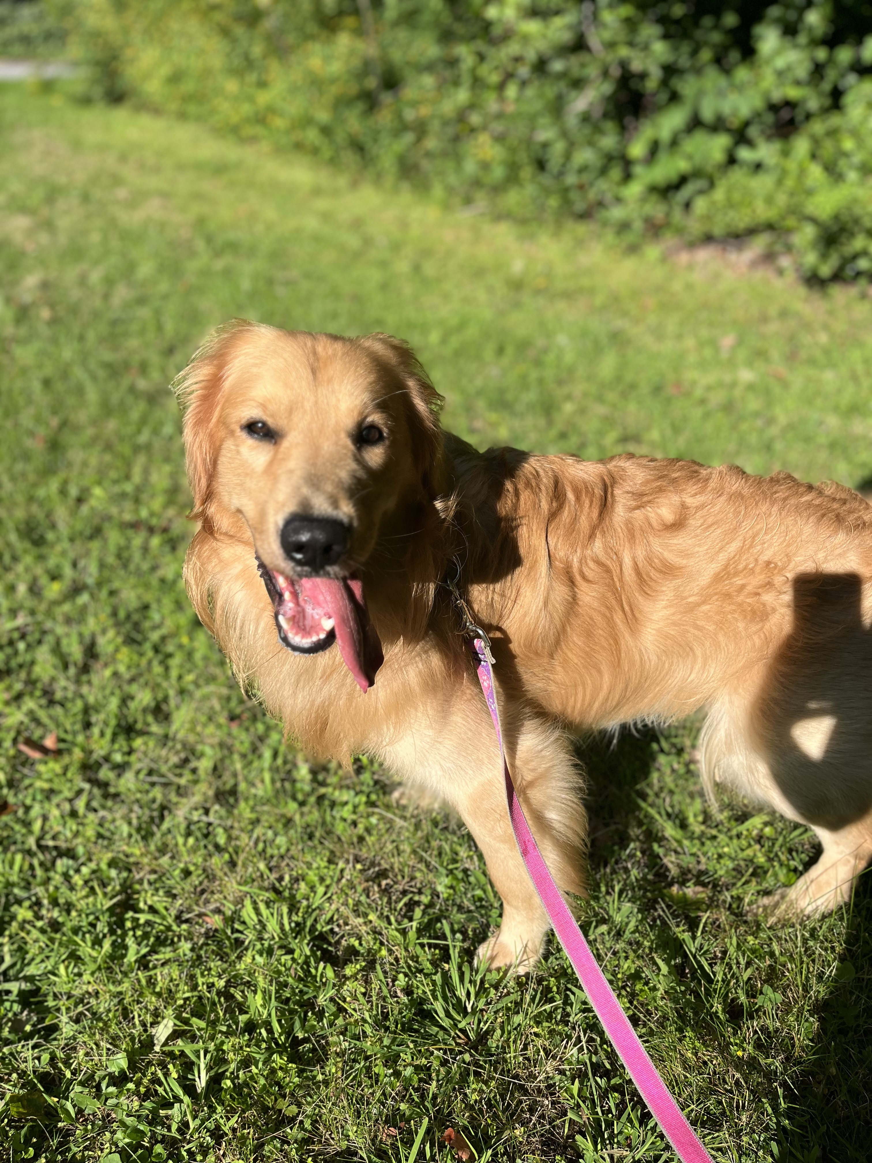 Fun in the Sun