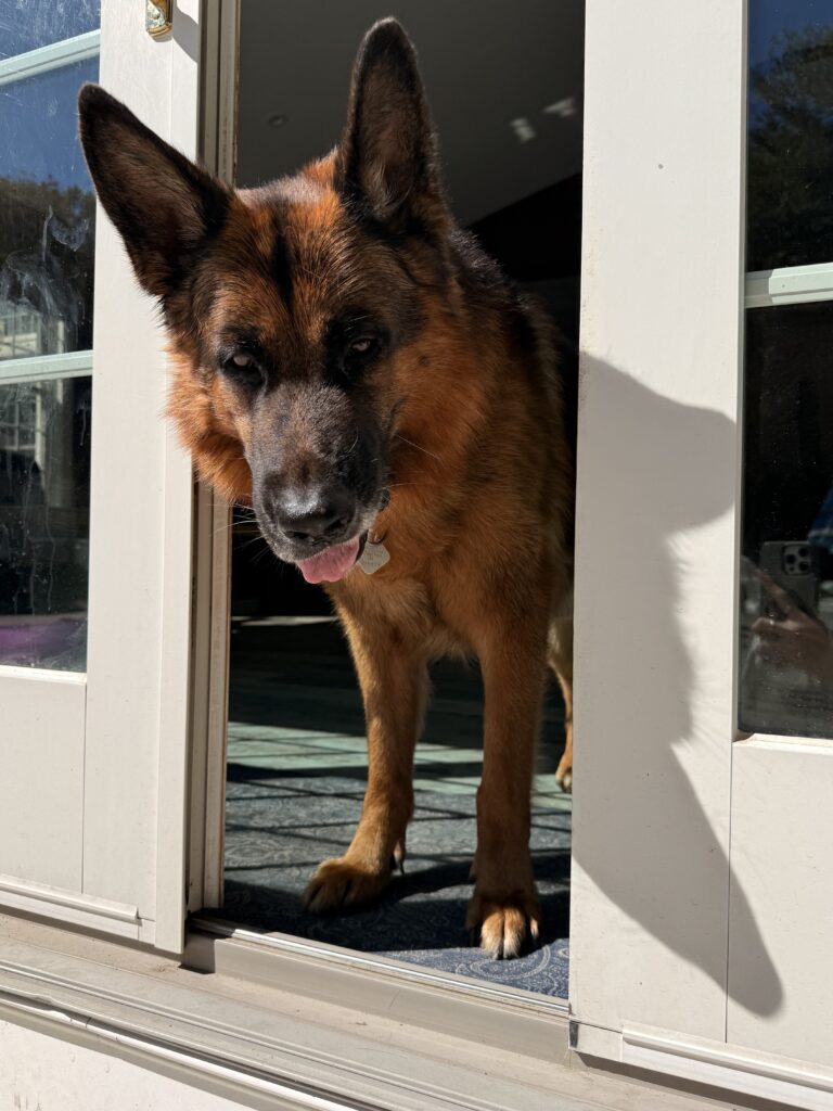 MAXXX