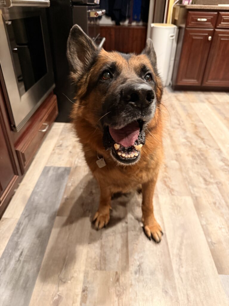 Saturday’s Max Dinner Visit