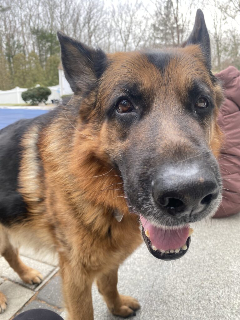 Mr.Max