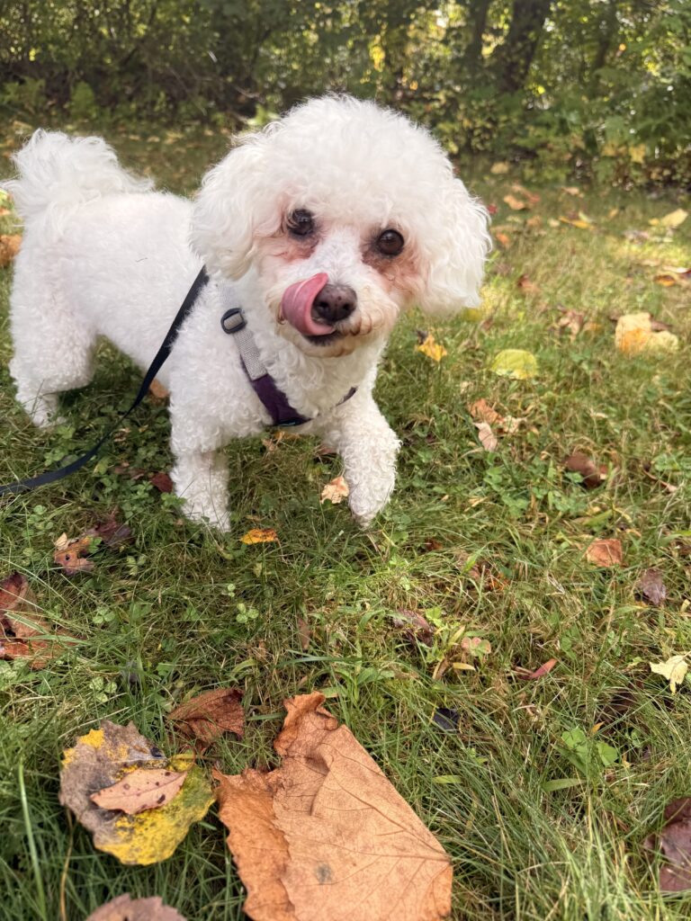 Warm Fall Day