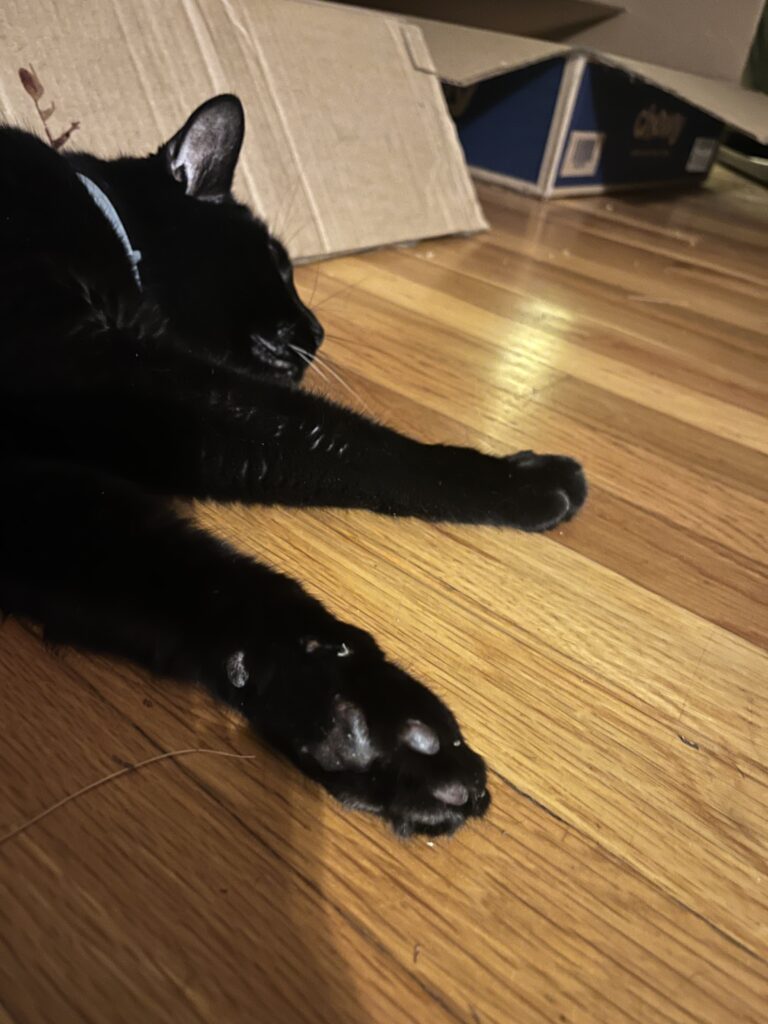 Toe beans