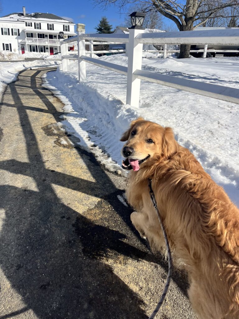 Ray Of Sunshine