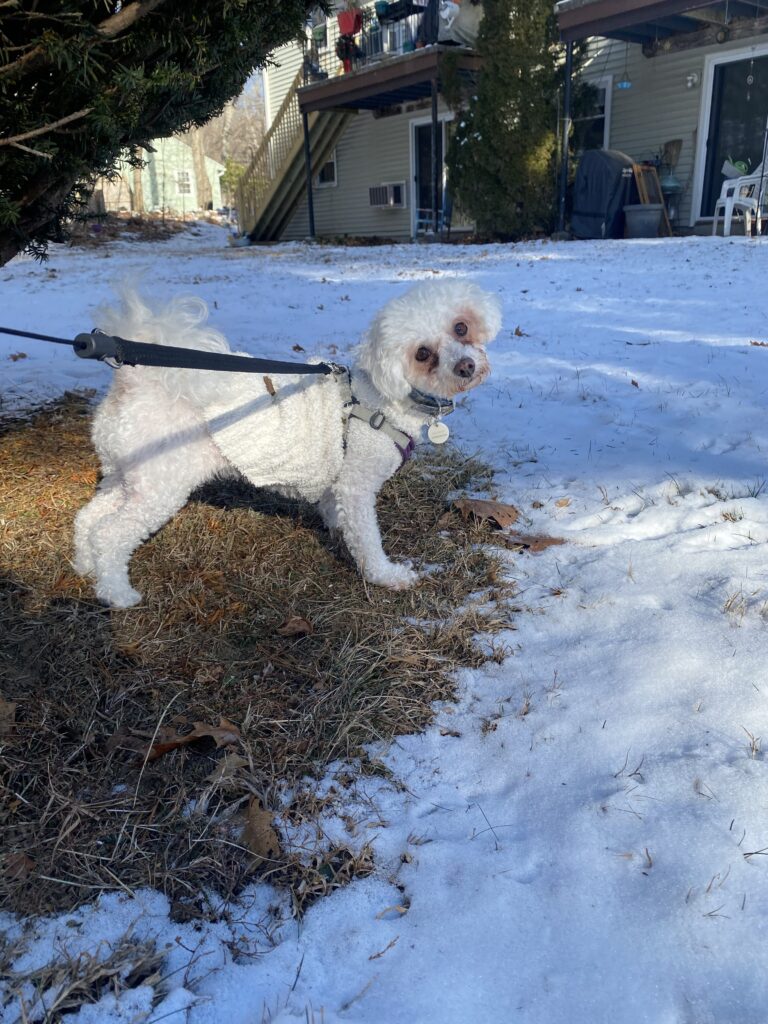 Snow Problem ❄️