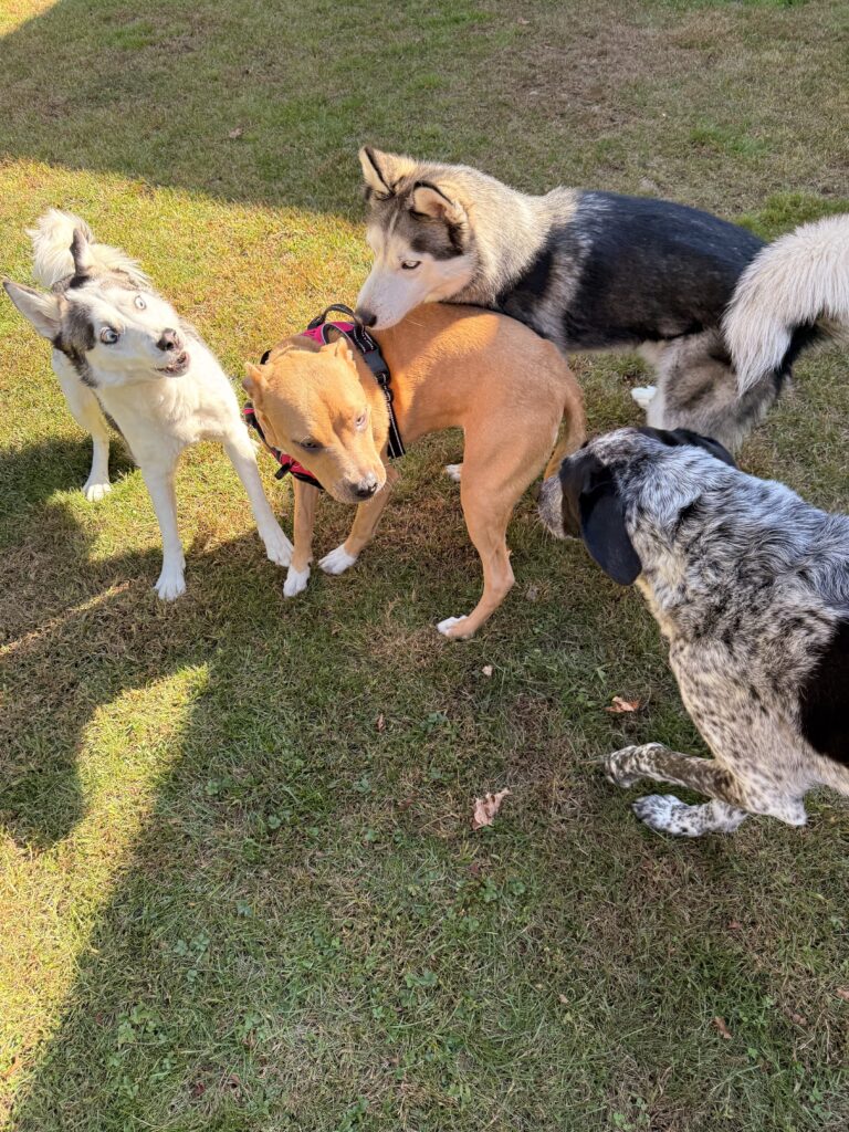 New Friends
